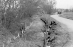1956.04.05 Eulachverlegung 03