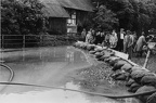 1953.06.26 Hochwasser 15