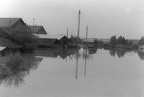 1953.06.26 Hochwasser 32