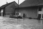1953.06.26 Hochwasser 52