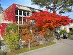 2011.10.28 Schulhaus Hegifeld 05